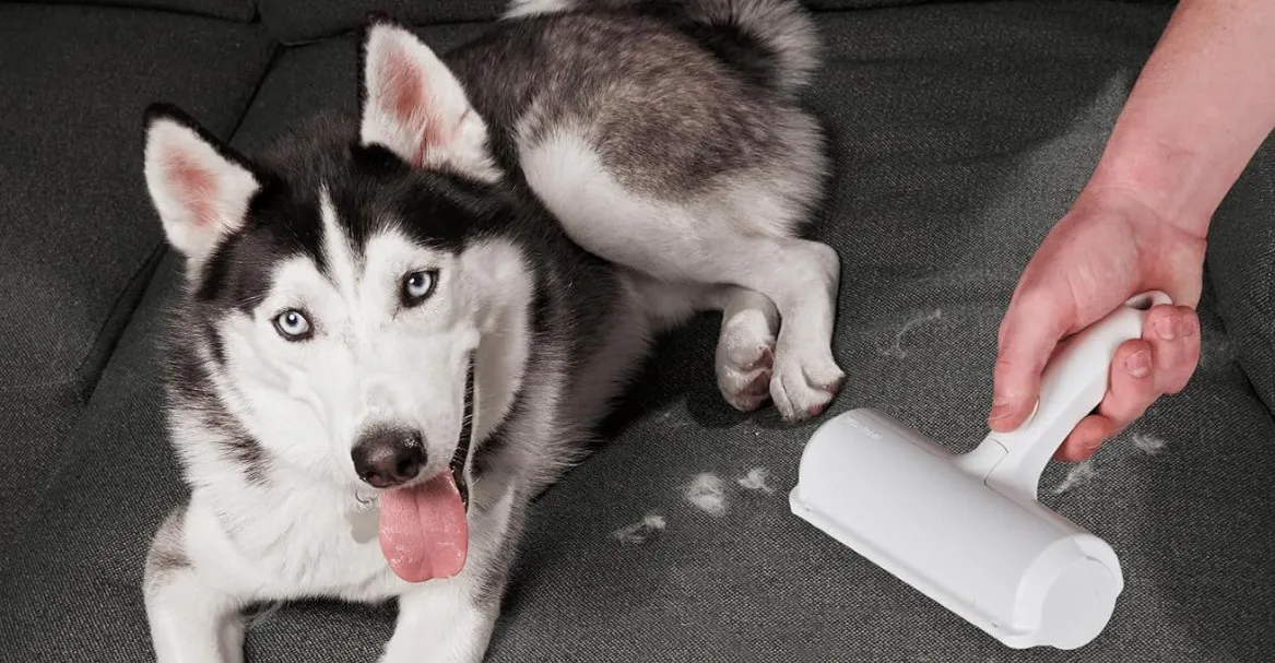 ब्लैक फ्राइडे सौदे वेर्ज पाठकों के बीच सबसे लोकप्रिय हैं