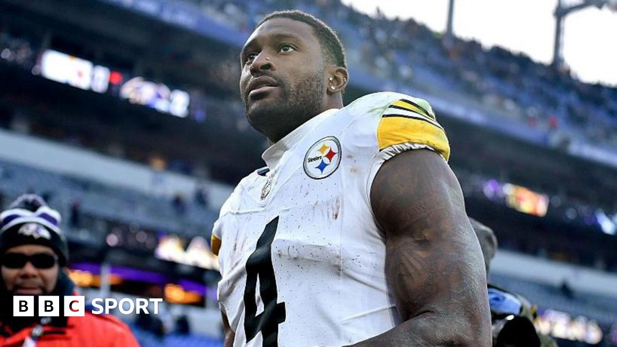 डेट्रॉइट लायंस 24-29 पिट्सबर्ग स्टीलर्स: डीके मेटकाफ लायंस के प्रशंसक को मुक्का मारते हुए दिखाई दिए