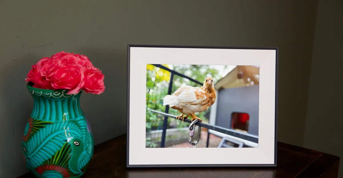 ये वेर्ज-अनुमोदित उपहार अभी भी साइबर सोमवार के लिए 60 प्रतिशत तक की छूट पर उपलब्ध हैं